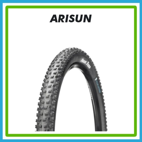 ARISUN