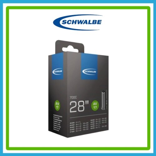SCHWALBE