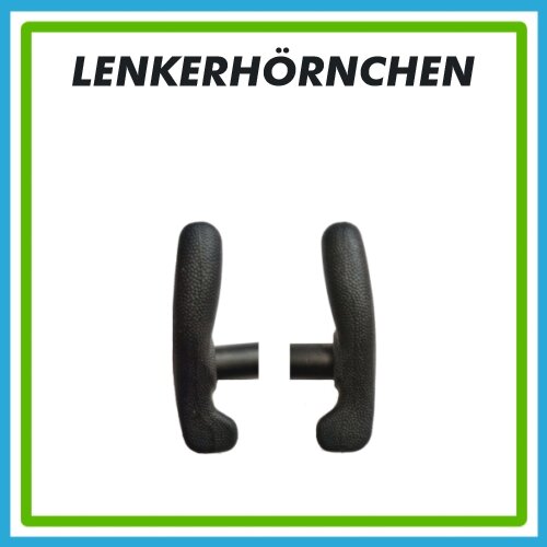 Lenkerhörnchen
