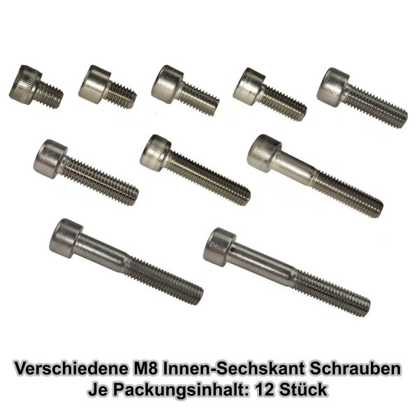 Verschiedene M8 Innen-Sechskant - 6-kant Schrauben (12 Stück)