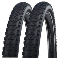 2 x Schwalbe Smart Sam Fahrradreifen Addix DD Performance...