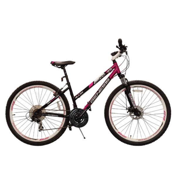 Genesis TwoNine - MTB - 29" - RH 54cm - Lila/Schwarz