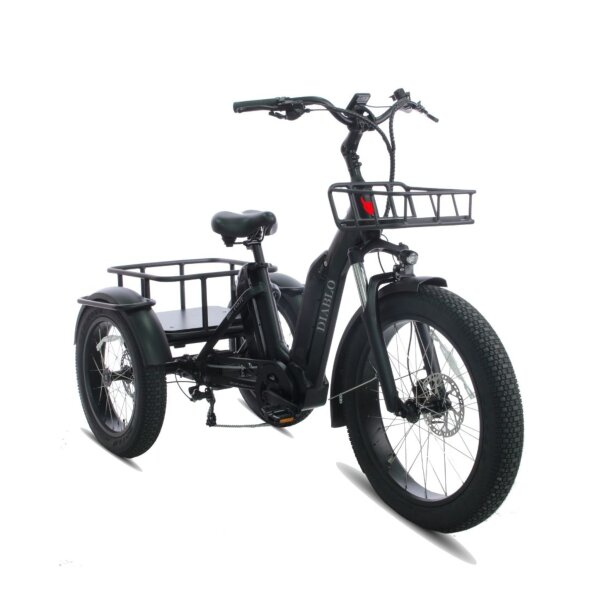 Diablo E-Bike RH 44 cm Big Foot 24" Schwarz