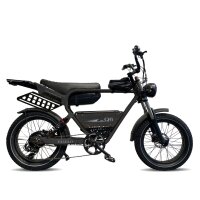 Diablo Q6 - Fat E-Bike - Ananda - Matt Schwarz