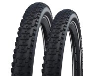Schwalbe Smart Sam Fahrradreifen Performance DD RaceGuard...