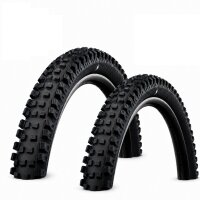 Faltreifen Schwalbe Magic Mary Gravity Soft TLR E-50...